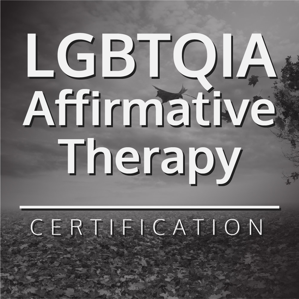 Lgbtqia Affirmative Certification Modern Sex Therapy Institutes 